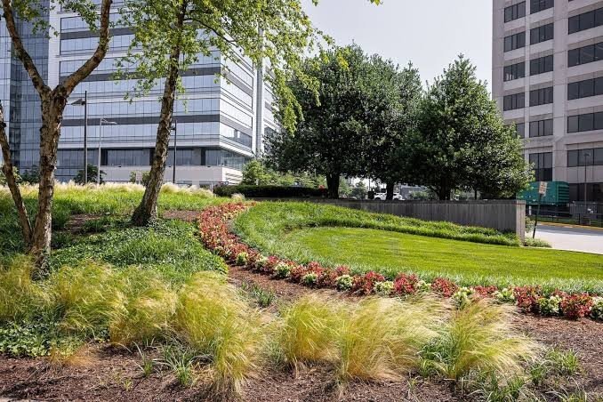Commercial Property Landscaping